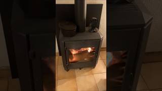 Cooking bœuf bourguignon on the woodstove 🔥🤤 ASMR winteriscoming countrylife [upl. by Aiekram]