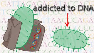 Can Bacteria Experience Addiction [upl. by Aseena]