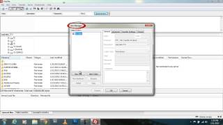 How To Connect To Your Seedbox Through Filezilla [upl. by Infeld]