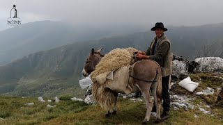 VIAȚA CIOBANILOR DIN MUNȚII RETEZAT CU PUIU MĂDĂLIN  DOCUMENTAR EP1 [upl. by Solracnauj310]