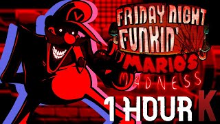 Paranoia  Friday Night Funkin FULL SONG 1 HOUR [upl. by Ragouzis]