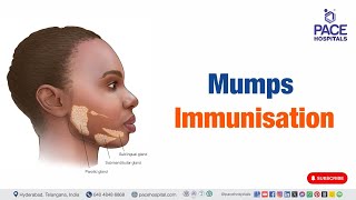 Mumps vaccine  Mumps Immunization  mumps [upl. by Aniryt]