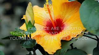 KJV Ephesians 289  Scripture Song [upl. by Tayib411]