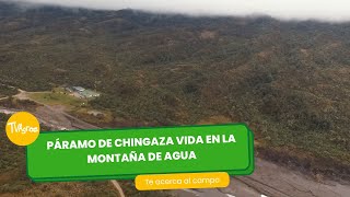 Páramo de Chingaza Vida en la montaña de agua  TvAgro por Juan Gonzalo Angel Restrepo [upl. by Revilo]