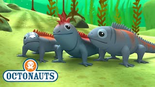 Octonauts  The Marine Iguanas  Full Episode 41  Kidzuko [upl. by Thad]