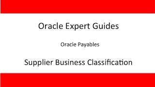 Oracle Supplier Business Classification Lookup update [upl. by Adnic621]