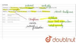 Assertion  In Pleurobrachia eight comblike ciliary plates called cmob plates are present [upl. by Skelton]