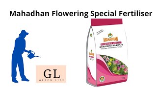 Mahadhan flowering special [upl. by Igenia]