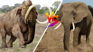 Woolly Mammoth VS Elephant [upl. by Connolly]