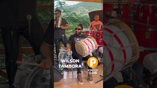 Wilson Tambora pambiche musicard latinmusic rdmusic rd MerengueTipico merengue MusicaTipica [upl. by Ahsirk]