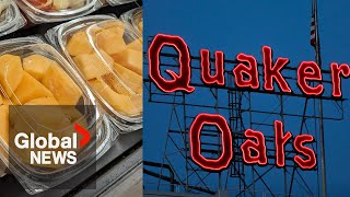 Science behind salmonella Quaker Oats latest company to recall products over contamination fears [upl. by Azilef]