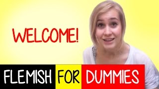 Flemish For Dummies a Free Dutch Speed Course [upl. by Lecia]