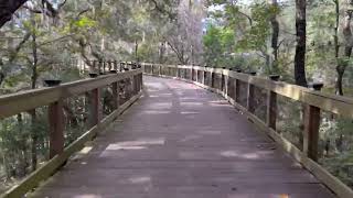 Canopy Walkway Bridge  Lafayette Heritage Trail Park  Tallahassee FL  20241113 [upl. by Basilius162]