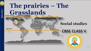 The prairies  The Grasslands  Class 4  What is known as the prairies Where are the grasslands [upl. by Gemina]