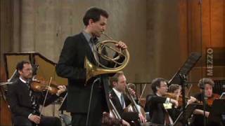 46  David Guerrier  Joseph Haydn  1er mvt du Concerto pour cor [upl. by Radbun951]