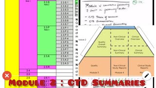 Dossier Preparation in CTD Format I Module 2 I Quality Overall Summary I Part IV I RA I ICH M4 [upl. by Augusta]