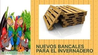 Nuevos bancales para el invernadero [upl. by Anelav]