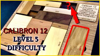 ONLY ONE SOLUTION and I found it HIGHEST DIFFICULTY PUZZLE LEVEL 5 OF 5  Calibron 12 [upl. by Saba]