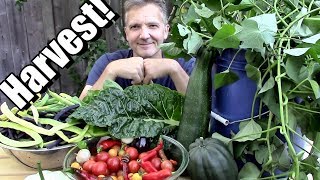 September Vegetable Garden Harvest Local Food at its Best 🍅🌶️ 🥗 [upl. by Taub744]