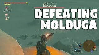 The Legend of Zelda Breath of the Wild Gameplay  Molduga [upl. by Askwith]