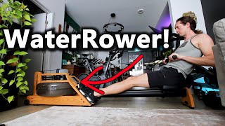 WaterRower A1 is a cheaper ERGATTA or Hydrow rowing machine alternative with ZERO monthly FEES [upl. by Treacy]