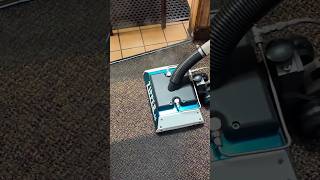 Cutting Grease from Carpet in ONE Pass carpetcleaning cleaningexperts ZipperWand SaigersCodeRed [upl. by Eem]