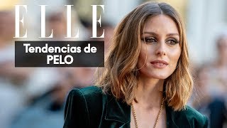 El corte de pelo media melena es LA tendencia  Elle España [upl. by Sigler]