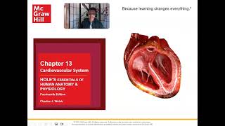 Ch 13 Cardiovascular System Layers of the Heart [upl. by Adriel]