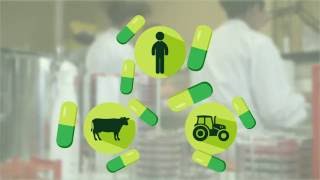 Antibiotiques et résistances  tous concernés [upl. by Eca]