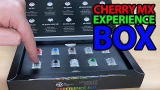 Unboxing amp Testing Cherry MX Experience Box – Which Switch Is Right for You [upl. by Kaitlynn]