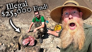 We found a 25000 Fossil Illegal Ammonite Mining [upl. by Weingartner]