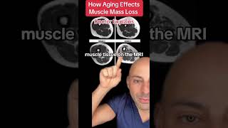 How Aging Effects Your Muscles [upl. by Berglund]