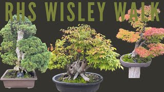 Bonsai at Wisley [upl. by Quartet]