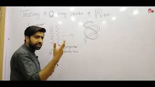 Tertiary and quatenary structure of protein 1st year biology MDCAT EATA [upl. by Alesandrini698]