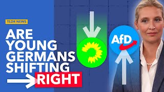 Why is the AfD Doing So Well With Young Voters [upl. by Irmo]