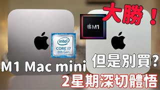 超好但是別買？M1 Mac mini 2星期體驗！ [upl. by Norman]