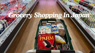 Shopping Trips Compilation  Supermarket Grocery Shopping  100¥ Store Shopping [upl. by Inafets]