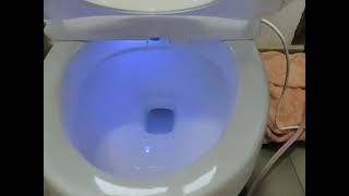 WASH YOUR CULO BIDET SEAT [upl. by Noxaj709]