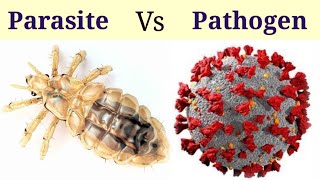 Difference Between Parasite And Pathogen [upl. by Jaquenetta]