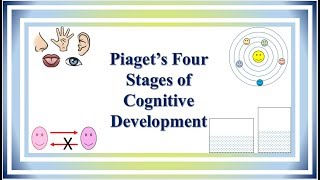 Piaget’s Four Stages of Cognitive Development [upl. by Idelia710]