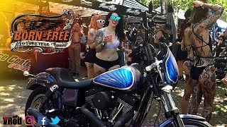 Born Free 9  2017 Bike Rally [upl. by Leonhard]