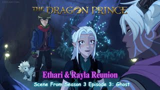 The Dragon Prince Season 3 Official Clip quot Ethari amp Rayla Reunionquot Scene [upl. by Dimitry]