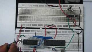 Interfacing ADC0808 with 8051 Microcontroller AT89C51 using Interrupt clock [upl. by Arny129]