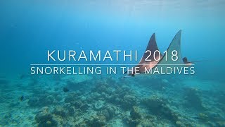 Snorkelling in the Maldives  Kuramathi  2018 [upl. by Tilly]