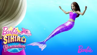 LA SIRENA MISTERIOSA 💕🧜‍♀️  Barbie y los Delfines Mágicos  Barbie Sirena en Español Latino [upl. by Behka]