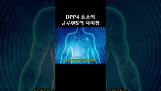 글루텐 분해 누가 더 잘할까 DPP4와 글루텐s 차이점 shorts [upl. by Vitoria902]