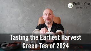 Tasting the Earliest Harvest Green Tea of 2024 [upl. by Stanford752]