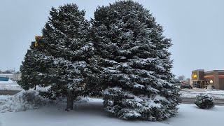 Blizzard Conditions in New Mexico  Clayton NM [upl. by Arikal]