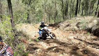 KTM 300EXC vs Beta RR480 vs Sherco 300SEFR  Short hill climb [upl. by Mandelbaum]