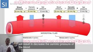 Hydrostatic pressure Vs Oncotic pressure  made easy [upl. by Kerril]